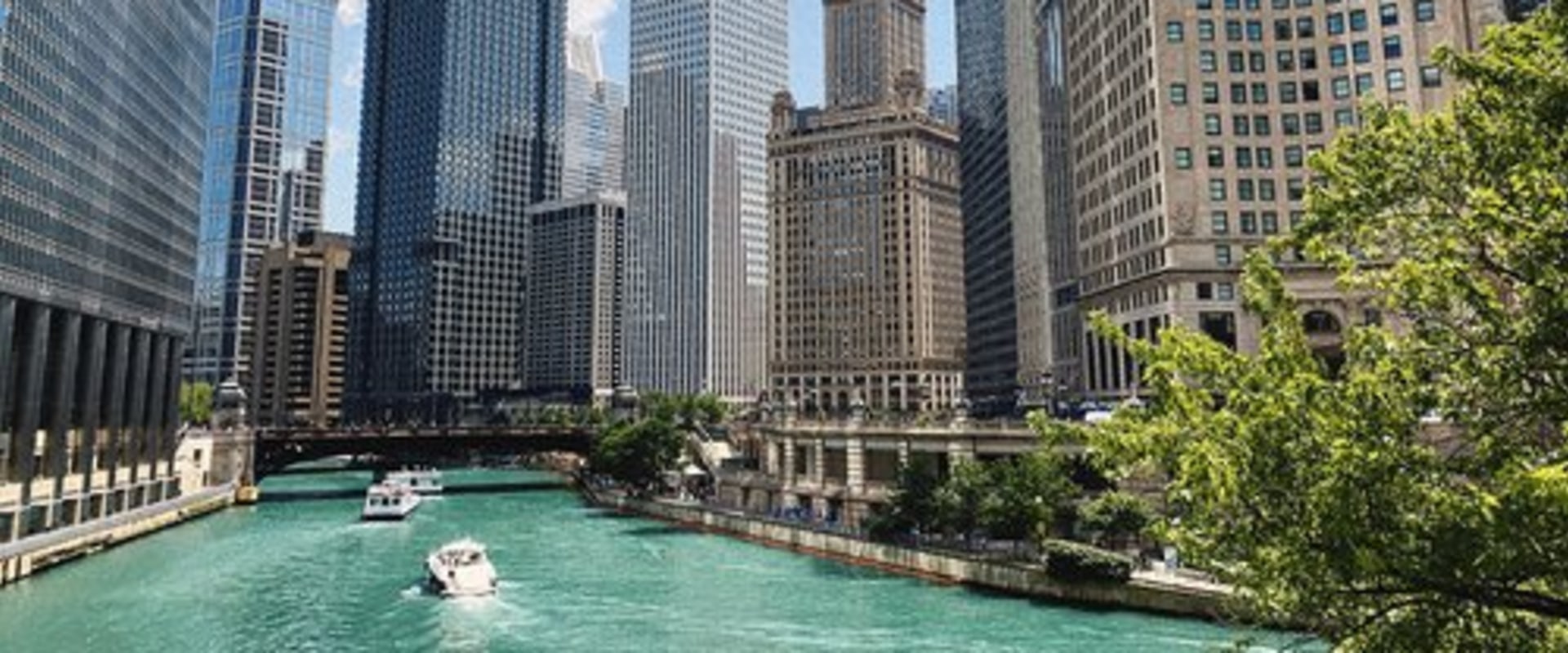 The Ultimate Guide to Pub Crawling in Chicago, IL
